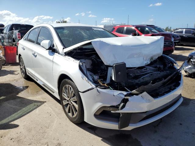 HYUNDAI SONATA SPO 2016 5npe34af6gh426859