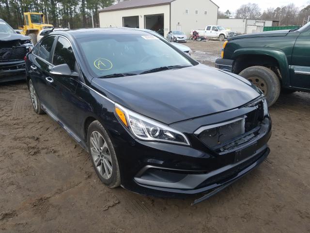 HYUNDAI SONATA SPO 2016 5npe34af6gh429762