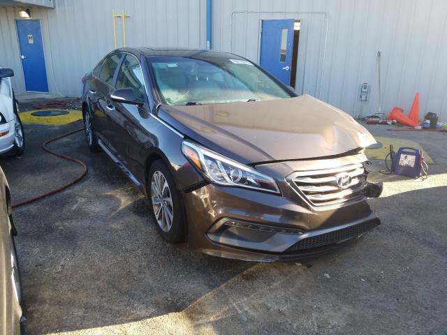 HYUNDAI SONATA SPO 2016 5npe34af6gh435867