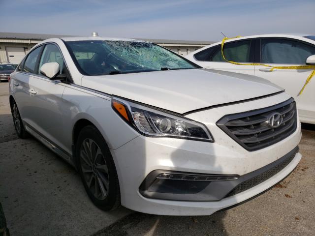 HYUNDAI SONATA SPO 2017 5npe34af6hh454582