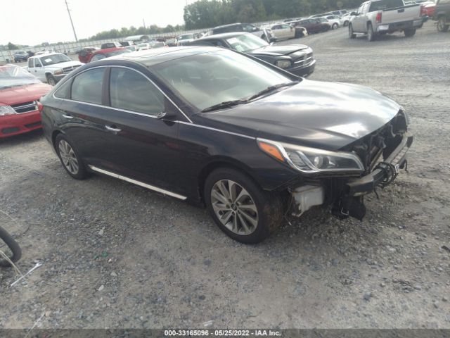 HYUNDAI SONATA 2017 5npe34af6hh474704