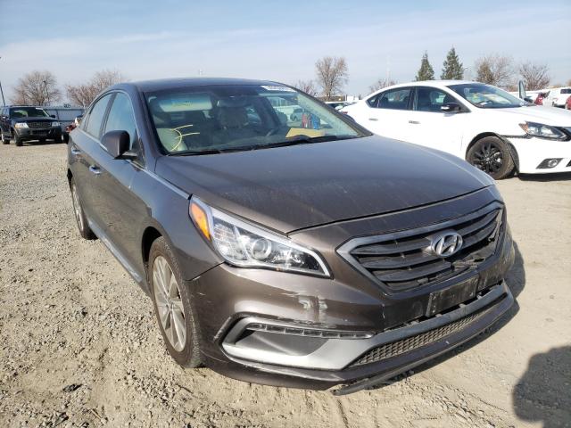 HYUNDAI SONATA SPO 2017 5npe34af6hh479787