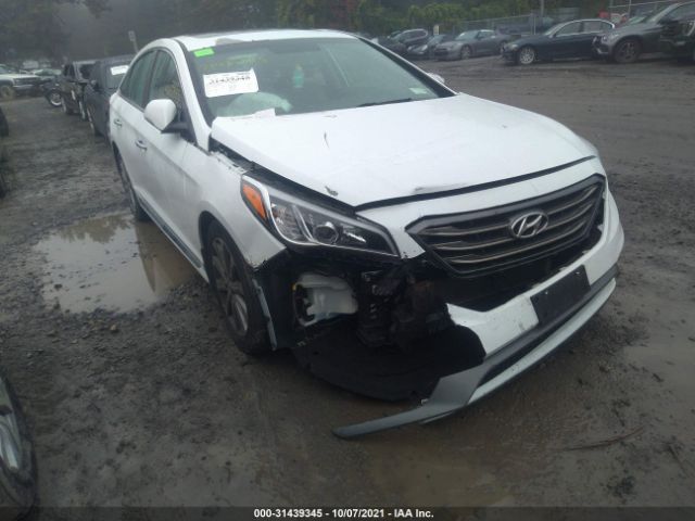 HYUNDAI SONATA 2017 5npe34af6hh482169