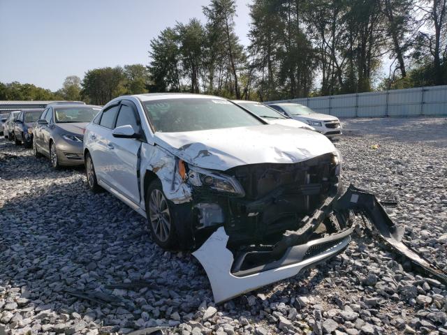 HYUNDAI SONATA SPO 2017 5npe34af6hh487128