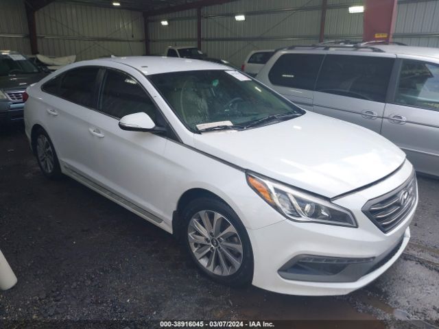 HYUNDAI SONATA 2017 5npe34af6hh495875