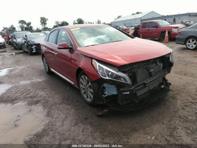 HYUNDAI SONATA 2017 5npe34af6hh529295