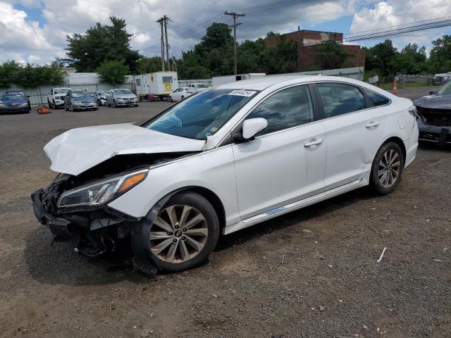 HYUNDAI SONATA 2017 5npe34af6hh552754