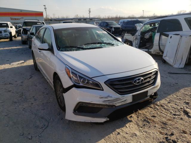 HYUNDAI SONATA SPO 2017 5npe34af6hh553483