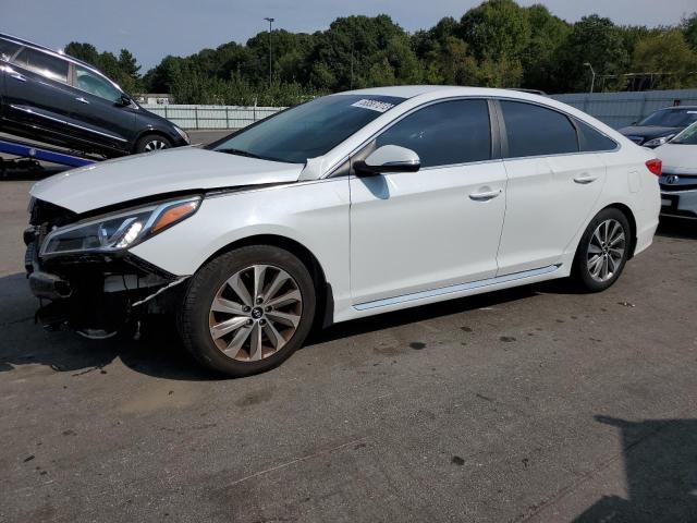 HYUNDAI SONATA 2017 5npe34af6hh553497