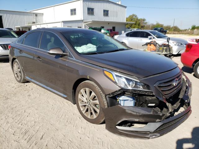 HYUNDAI SONATA SPO 2017 5npe34af6hh566508