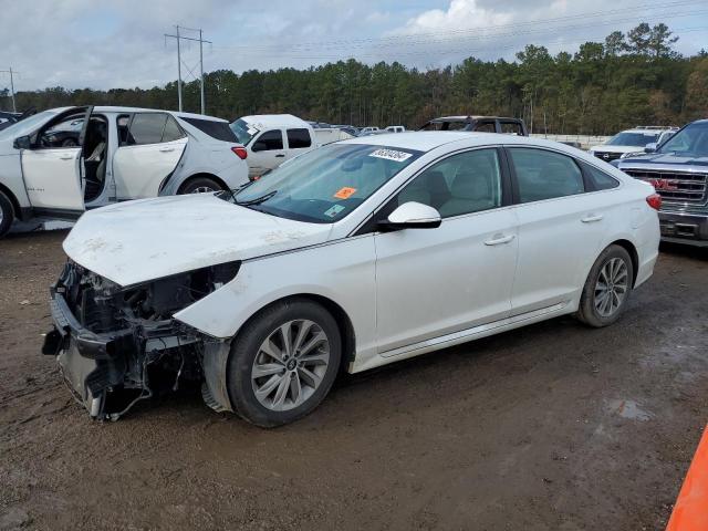 HYUNDAI SONATA SPO 2017 5npe34af6hh566704