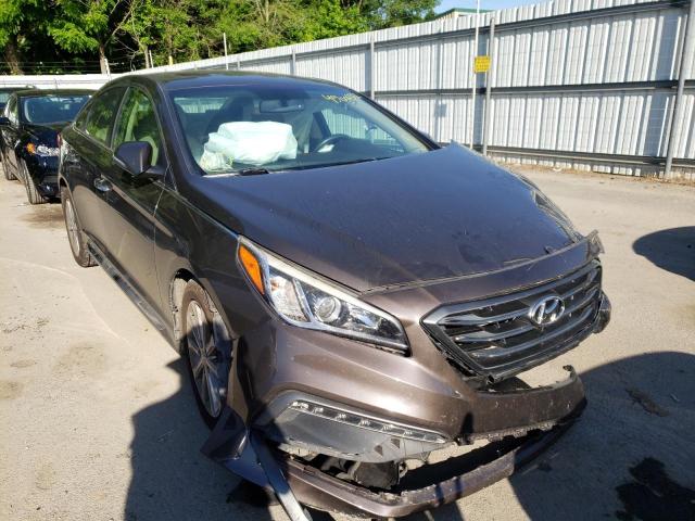 HYUNDAI SONATA SPO 2017 5npe34af6hh593143