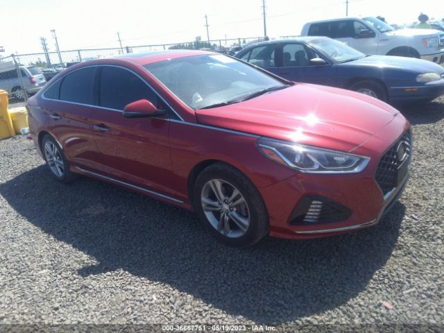 HYUNDAI SONATA 2018 5npe34af6jh609704