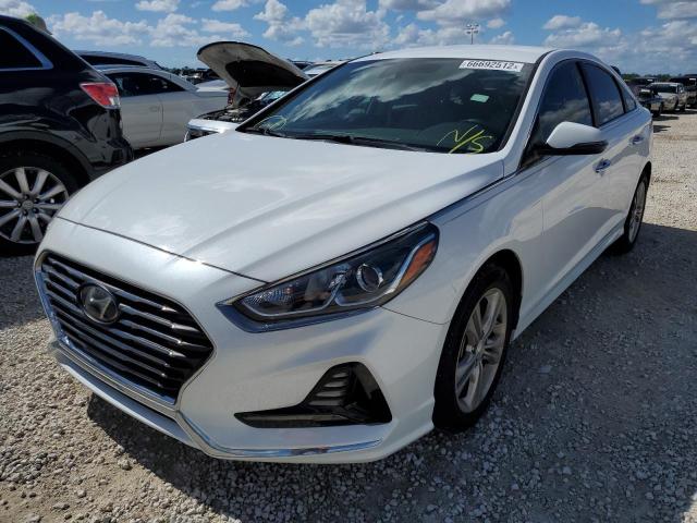 HYUNDAI SONATA SPO 2018 5npe34af6jh653542