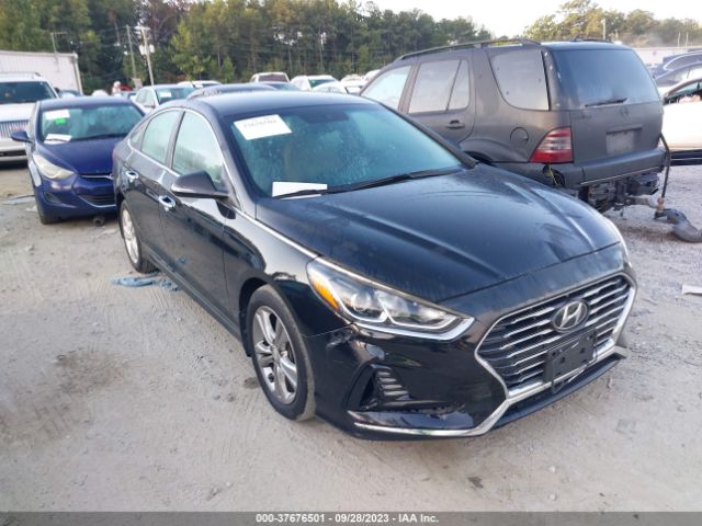 HYUNDAI SONATA 2018 5npe34af6jh653654