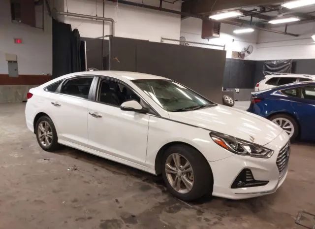 HYUNDAI SONATA 2018 5npe34af6jh664699