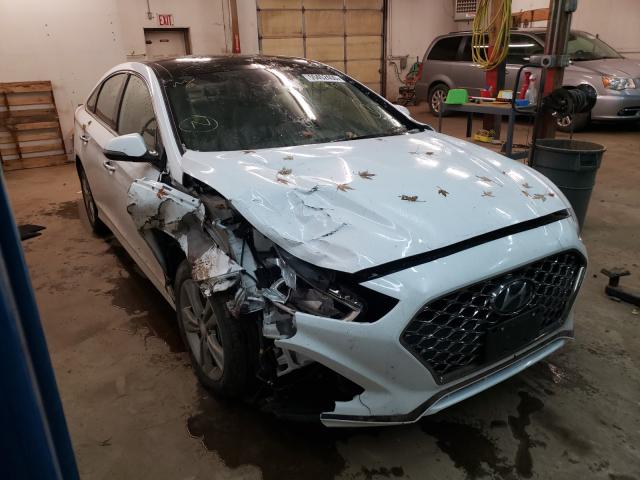 HYUNDAI SONATA LIM 2019 5npe34af6kh730749