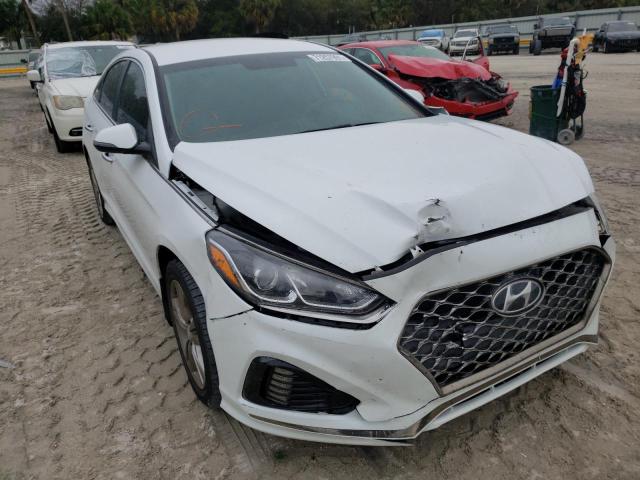 HYUNDAI SONATA LIM 2019 5npe34af6kh747566