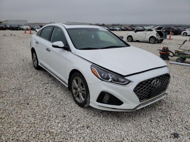 HYUNDAI SONATA LIM 2019 5npe34af6kh765579