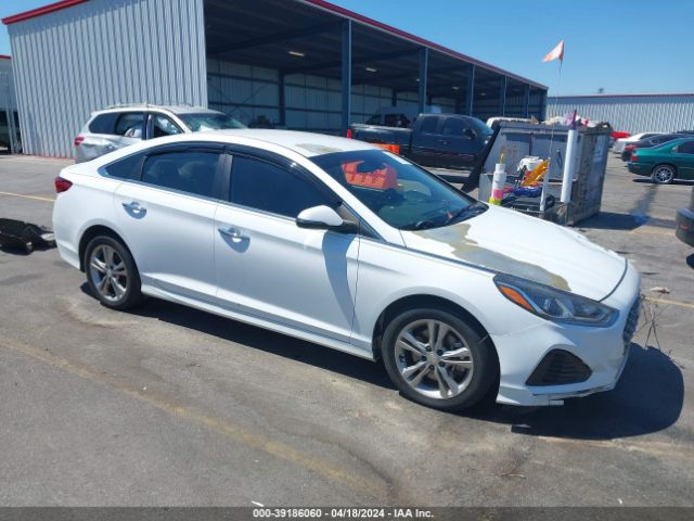 HYUNDAI SONATA 2019 5npe34af6kh765646