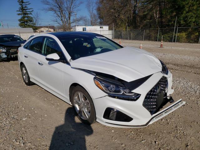 HYUNDAI SONATA LIM 2019 5npe34af6kh766988