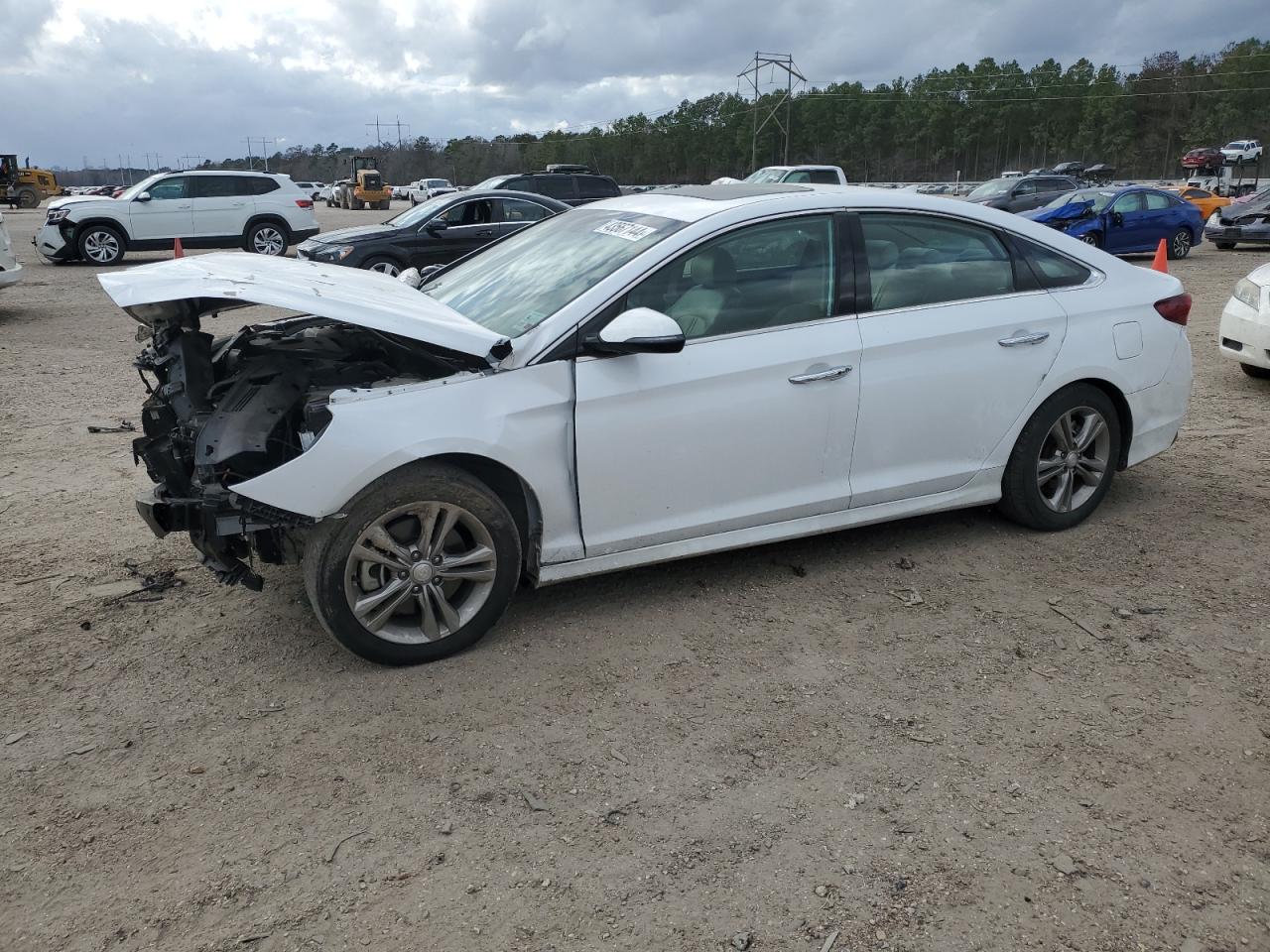 HYUNDAI SONATA 2019 5npe34af6kh769468