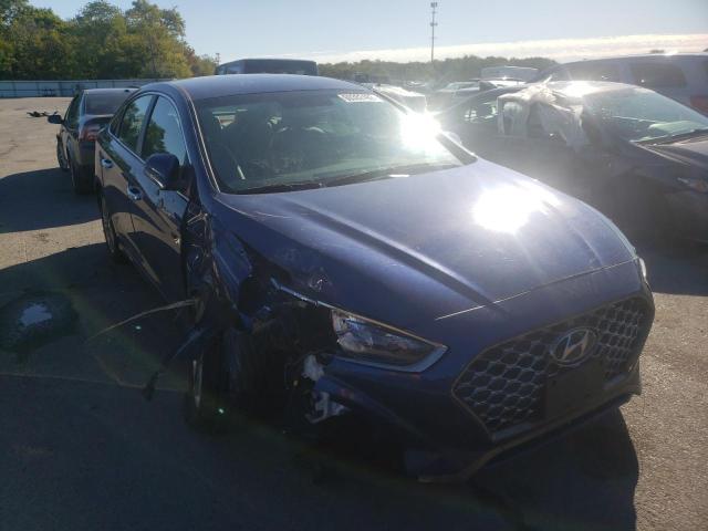 HYUNDAI SONATA LIM 2019 5npe34af6kh785704