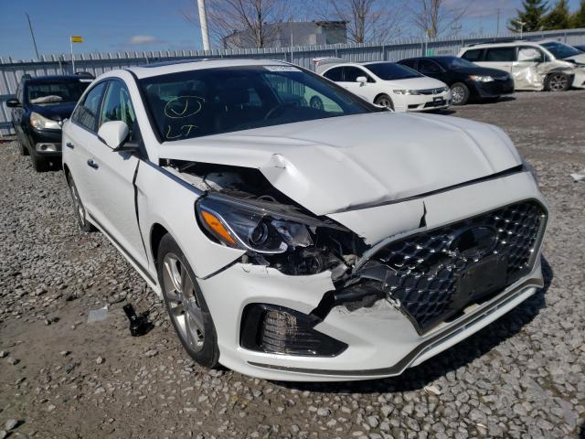 HYUNDAI SONATA LIM 2019 5npe34af6kh785993