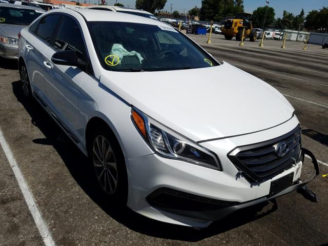 HYUNDAI SONATA SPO 2015 5npe34af7fh020362