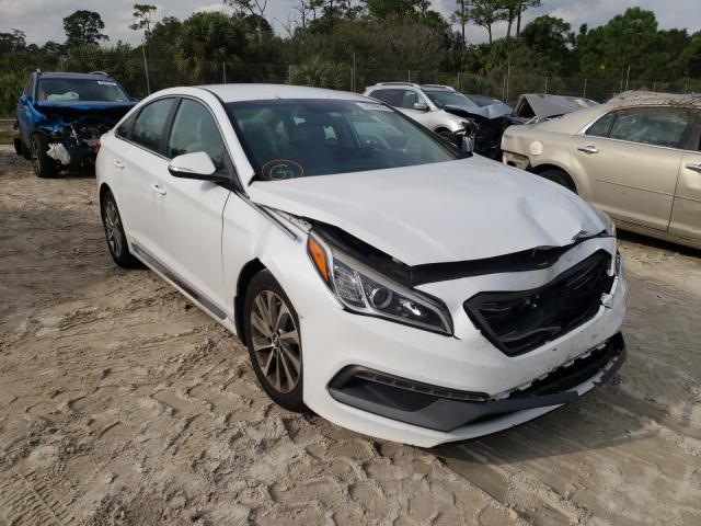 HYUNDAI SONATA SPO 2015 5npe34af7fh027263