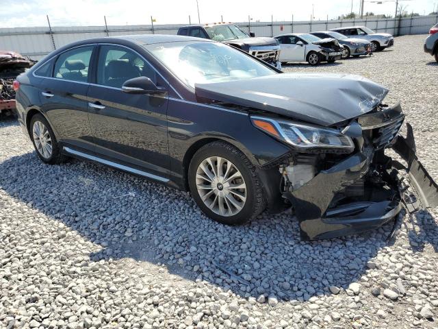 HYUNDAI SONATA SPO 2015 5npe34af7fh040997