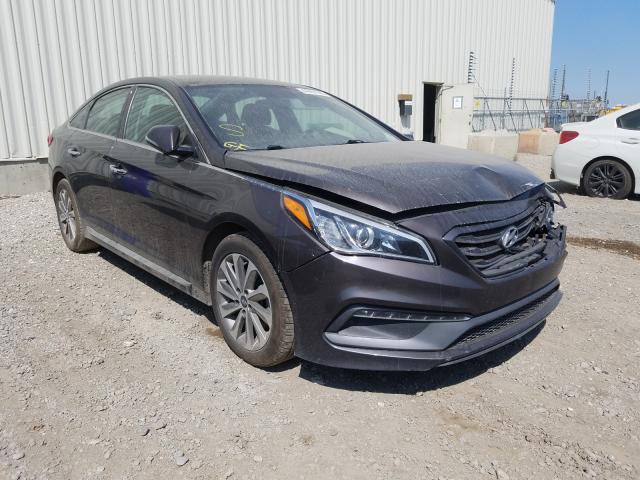 HYUNDAI SONATA SPO 2015 5npe34af7fh121854