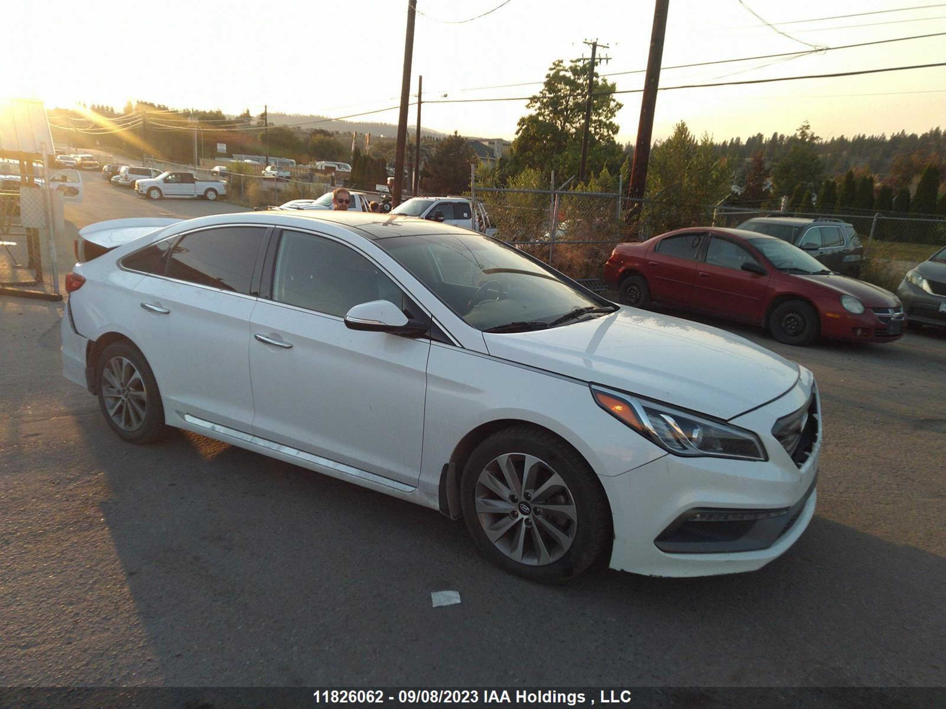 HYUNDAI SONATA 2015 5npe34af7fh239273