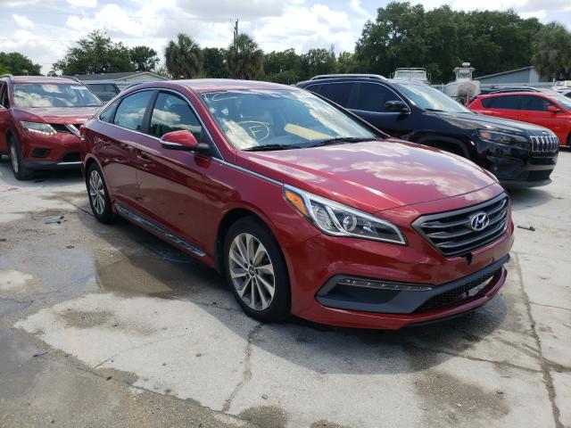 HYUNDAI SONATA SPO 2015 5npe34af7fh242464