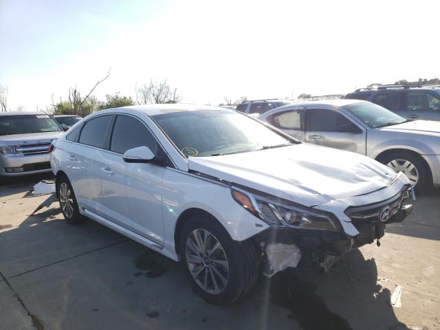 HYUNDAI SONATA SPO 2016 5npe34af7gh278351