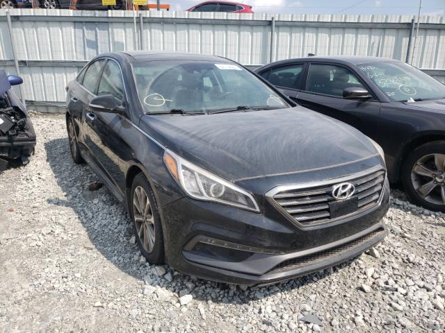 HYUNDAI SONATA SPO 2016 5npe34af7gh284358