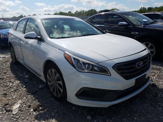 HYUNDAI SONATA SPO 2016 5npe34af7gh294534