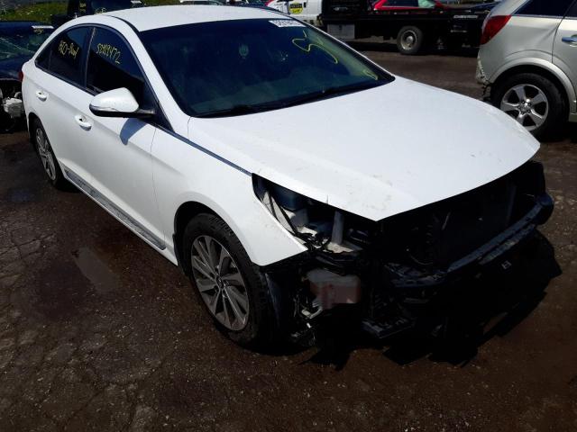 HYUNDAI SONATA SPO 2016 5npe34af7gh296848