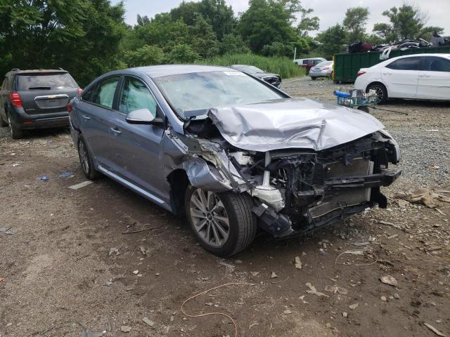 HYUNDAI SONATA SPO 2016 5npe34af7gh314961