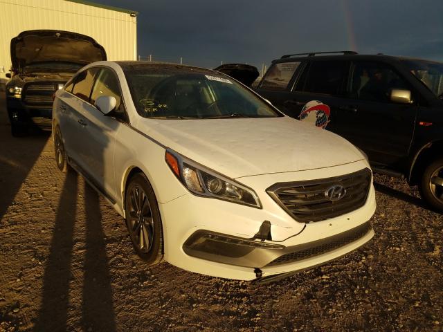 HYUNDAI SONATA SPO 2016 5npe34af7gh320565