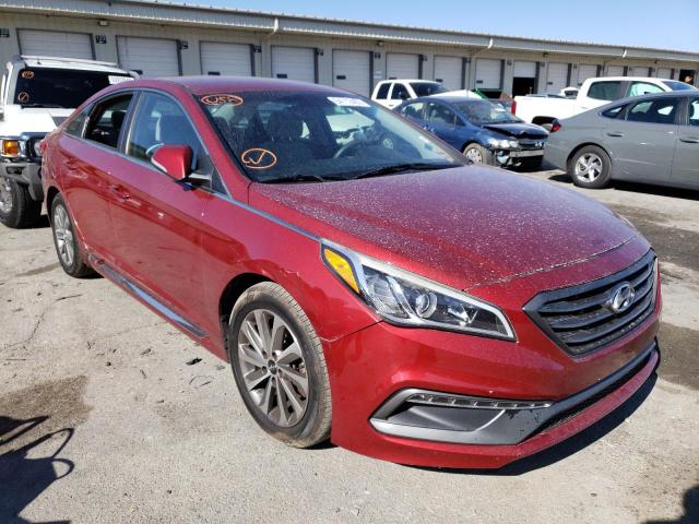 HYUNDAI SONATA SPO 2016 5npe34af7gh321327