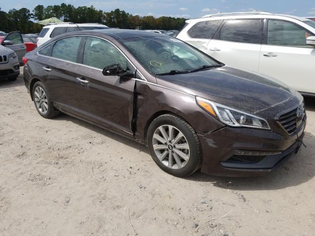 HYUNDAI SONATA SPO 2016 5npe34af7gh328875