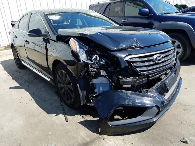 HYUNDAI SONATA SPO 2016 5npe34af7gh331324