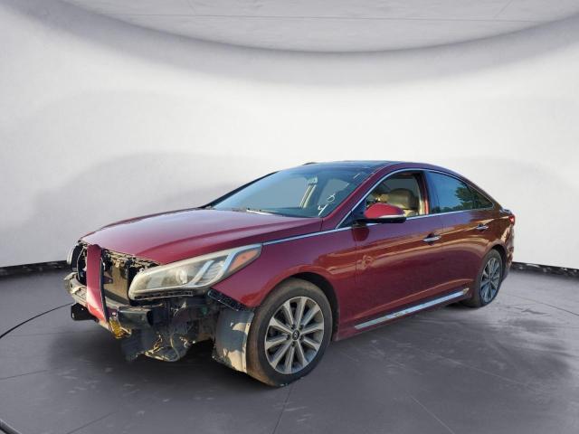 HYUNDAI SONATA SPO 2016 5npe34af7gh331484