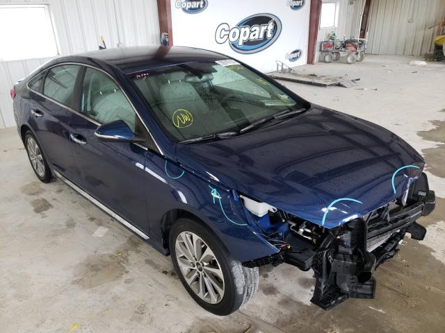 HYUNDAI SONATA SPO 2016 5npe34af7gh344316