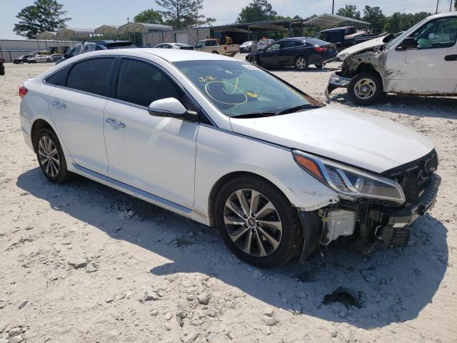 HYUNDAI SONATA SPO 2016 5npe34af7gh381091