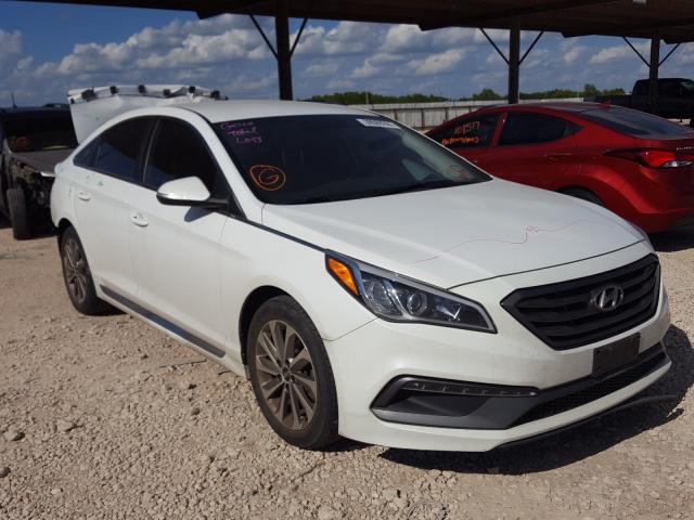 HYUNDAI SONATA SPO 2016 5npe34af7gh420603