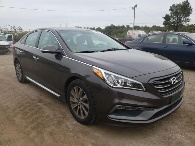 HYUNDAI SONATA SPO 2016 5npe34af7gh425655