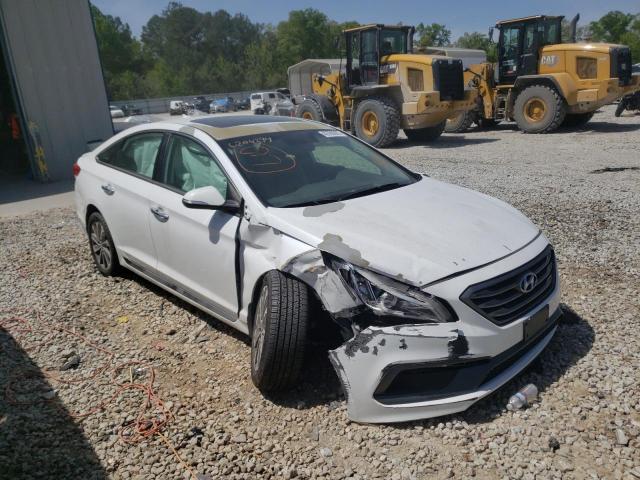 HYUNDAI SONATA SPO 2017 5npe34af7hh455014