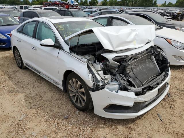 HYUNDAI SONATA SPO 2017 5npe34af7hh506415